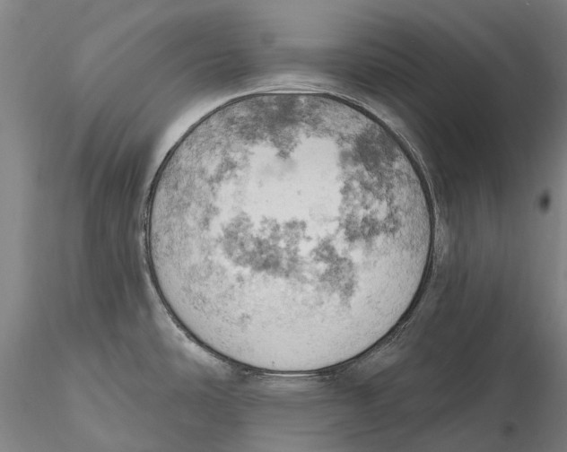 X0000115591486200912011451