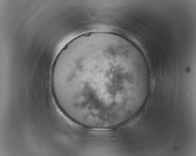X0000115591487200912011451
