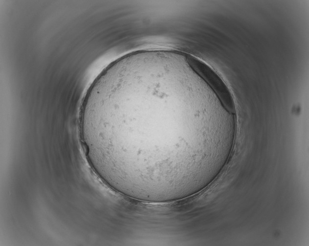 X0000115591488200912011451