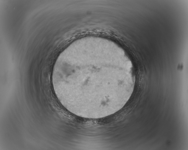 X0000115591489200912011450