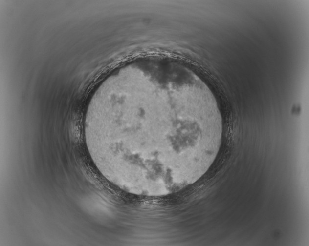 X0000115591490200912011450