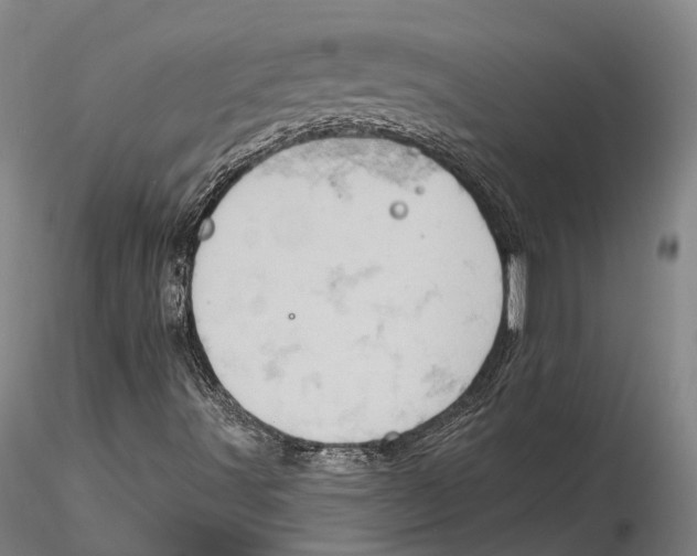 X0000115591491200912011450