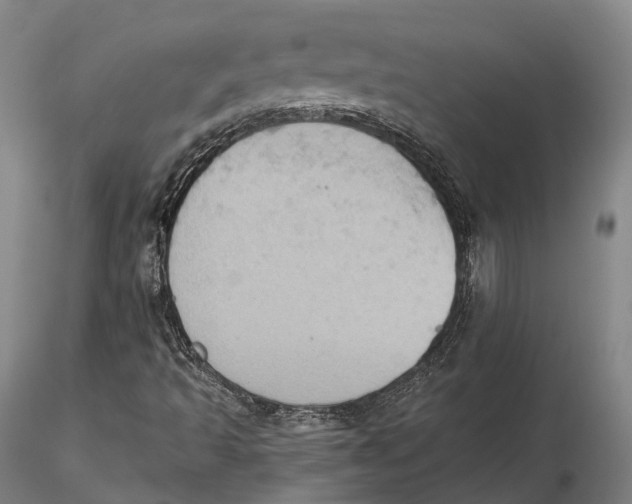 X0000115591493200912011450
