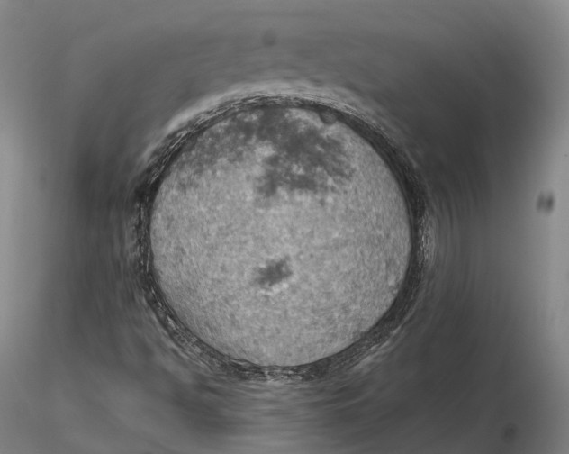 X0000115591494200912011450