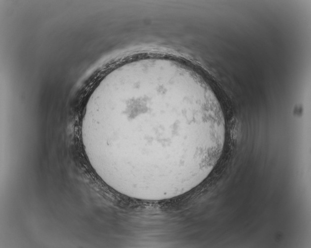 X0000115591495200912011450