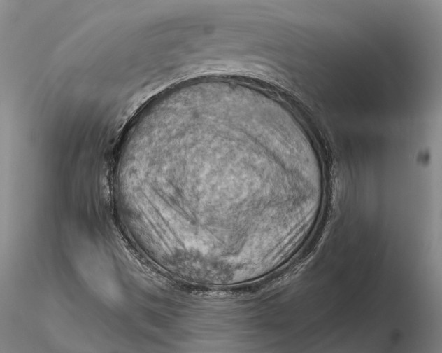 X0000115591497200912011450