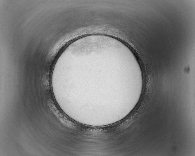 X0000115591499200912011450