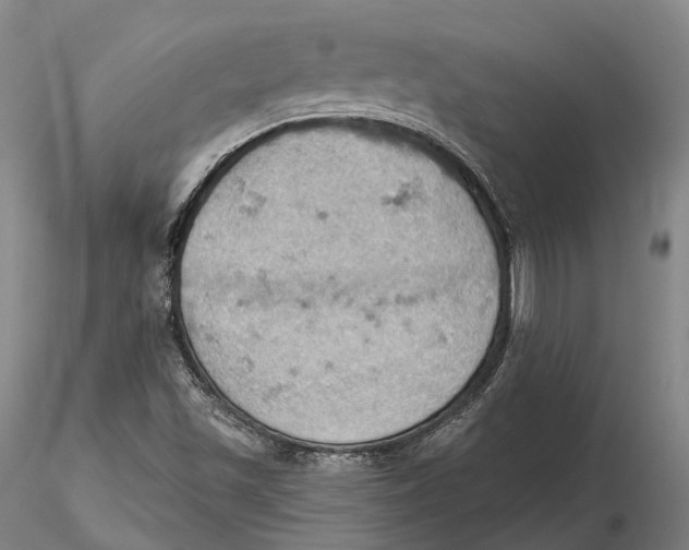 X0000115591501200912011450