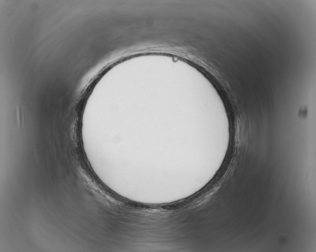 X0000115591502200912011450