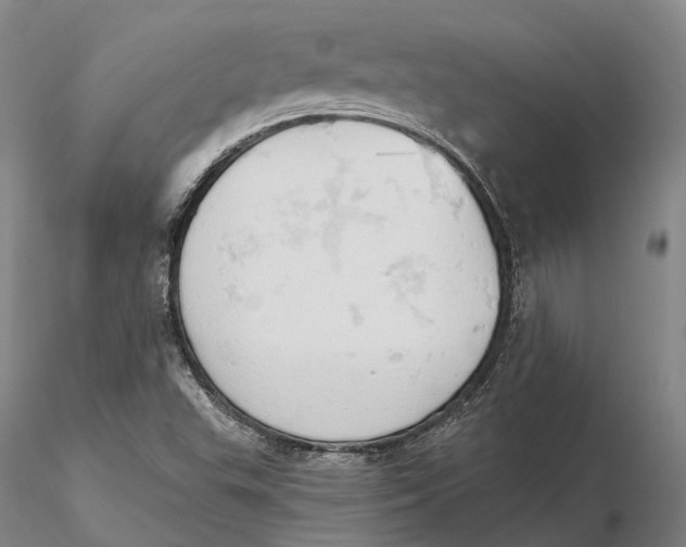 X0000115591503200912011450