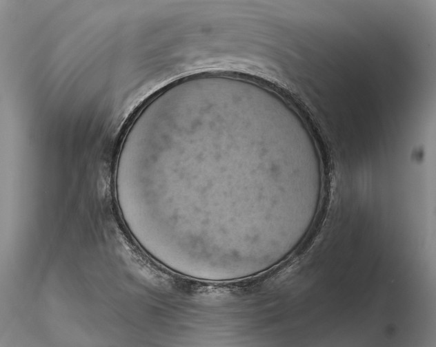 X0000115591505200912011450