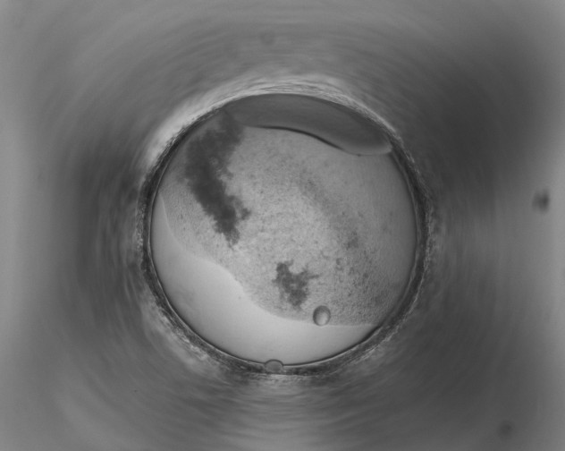 X0000115591506200912011450