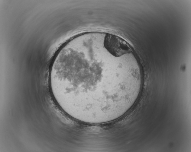 X0000115591507200912011450