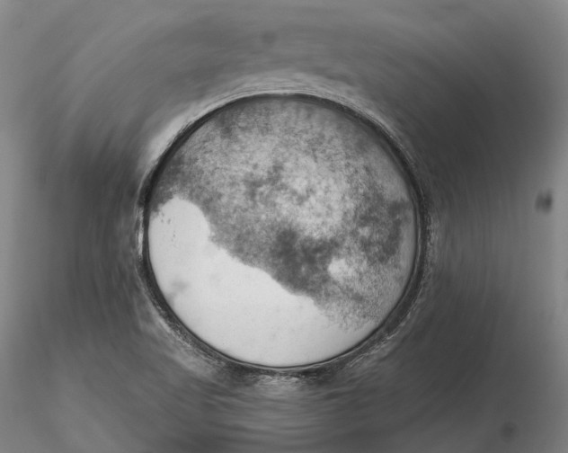 X0000115591509200912011450