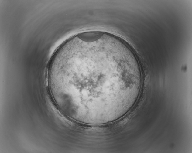 X0000115591510200912011450