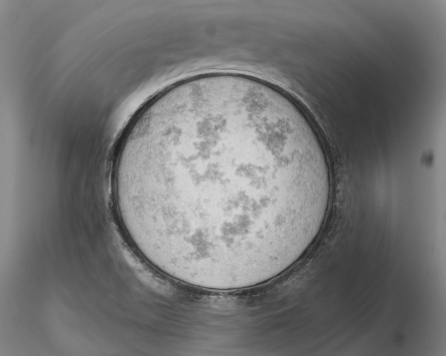 X0000115591511200912011450