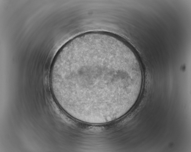 X0000115591513200912011450