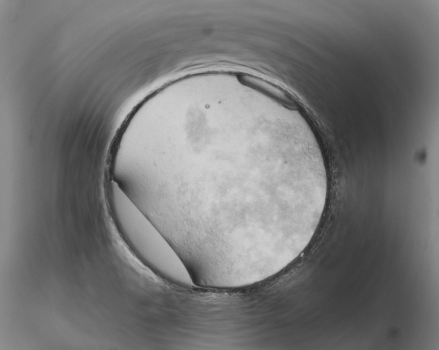 X0000115591518200912011450
