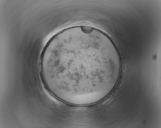 X0000115591519200912011451
