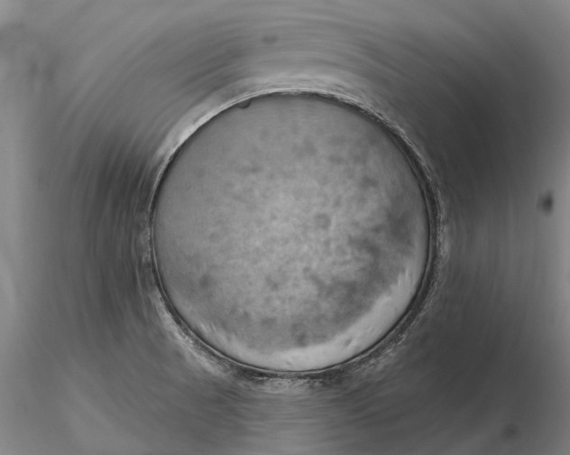 X0000115591521200912011451