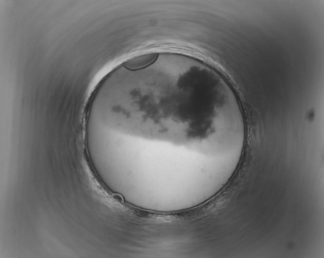 X0000115591522200912011451