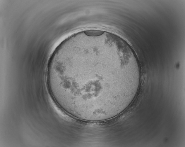 X0000115591523200912011451