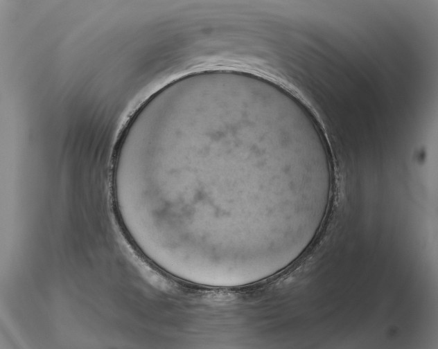 X0000115591525200912011451