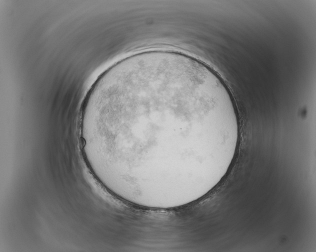X0000115591526200912011451
