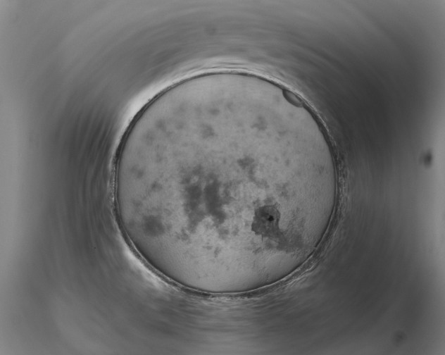 X0000115591527200912011451