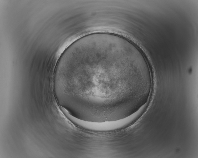 X0000115591529200912011451