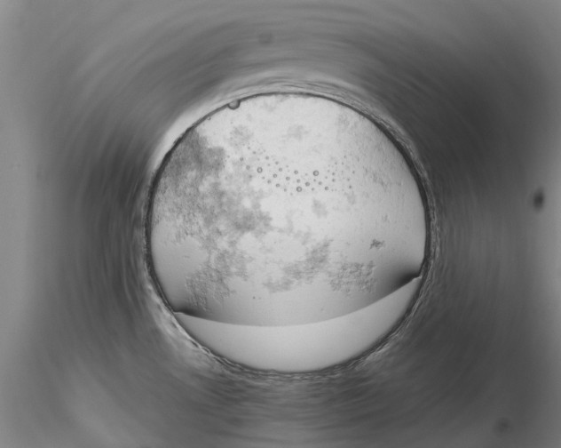 X0000115591530200912011451
