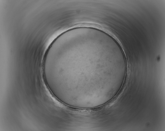 X0000115591533200912011451
