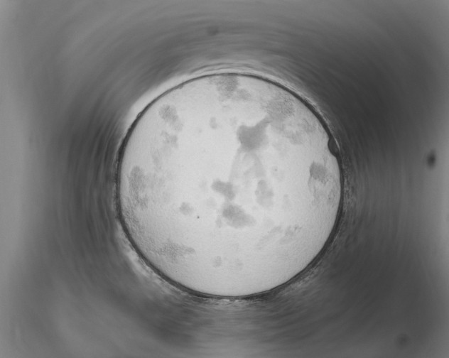 X0000115591534200912011451