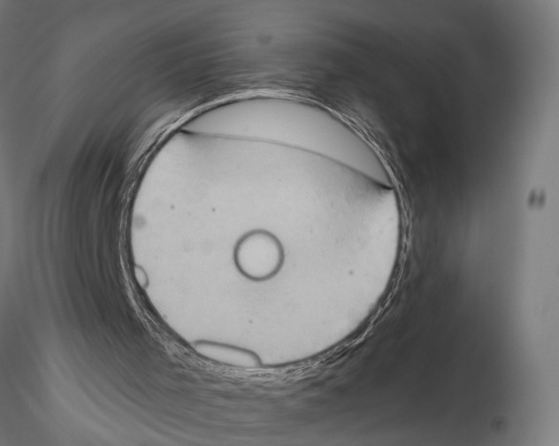 X0000115590001200912081101
