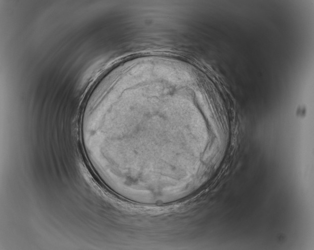 X0000115590002200912081101
