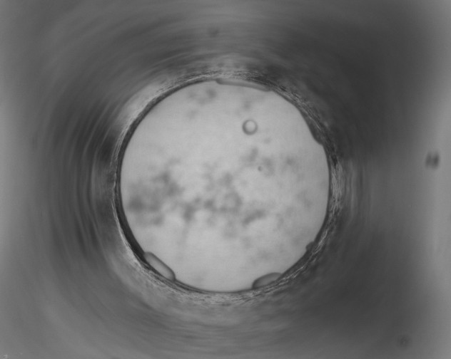 X0000115590003200912081101