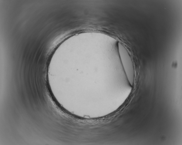 X0000115590005200912081101