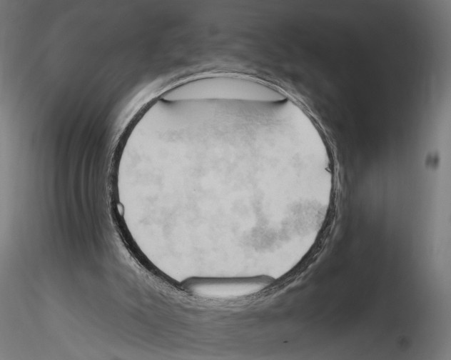 X0000115590007200912081101