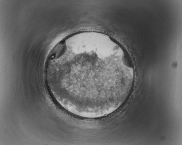 X0000115590008200912081101
