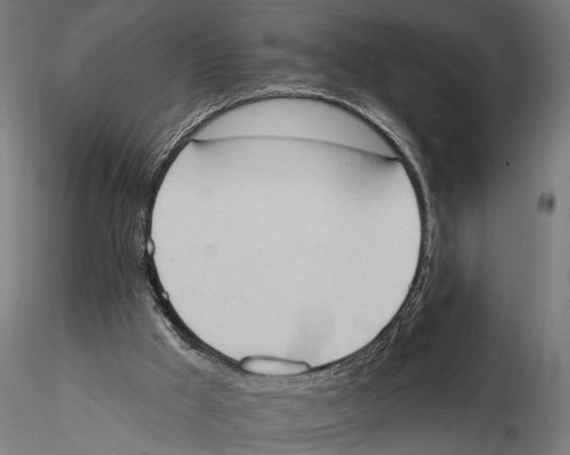 X0000115590009200912081101