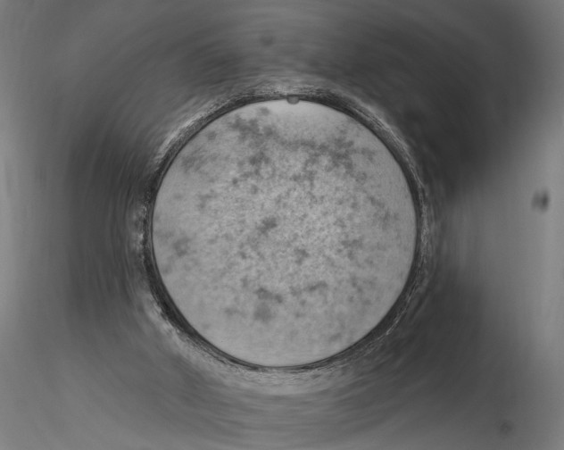 X0000115590010200912081101
