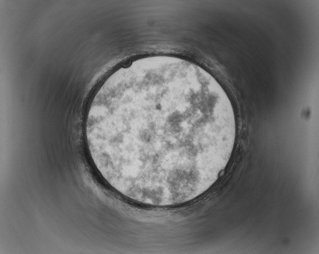 X0000115590012200912081101