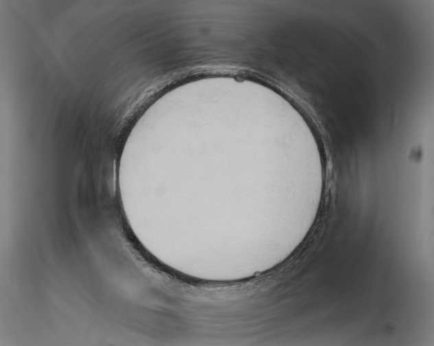 X0000115590013200912081100