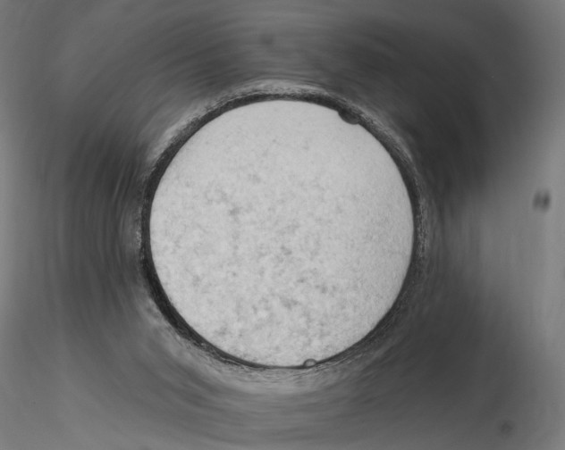 X0000115590015200912081100