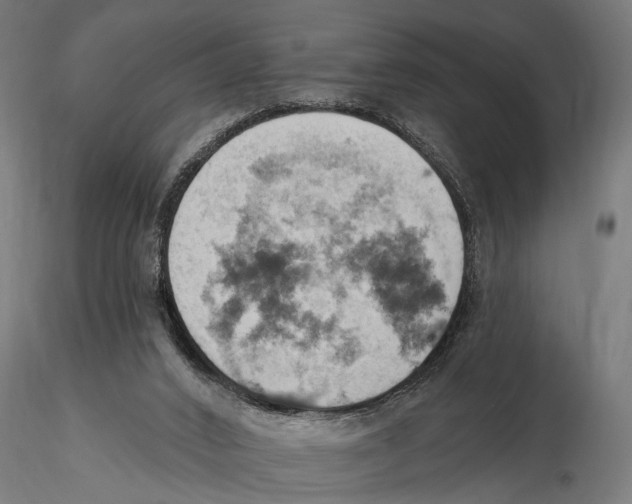 X0000115590016200912081100