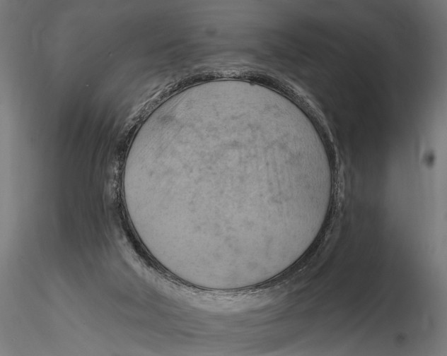 X0000115590018200912081100