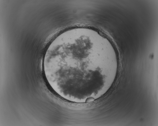X0000115590019200912081100