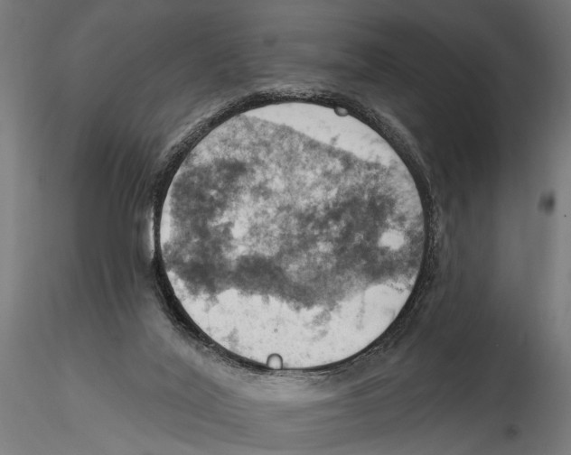 X0000115590020200912081100
