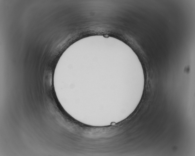 X0000115590021200912081100