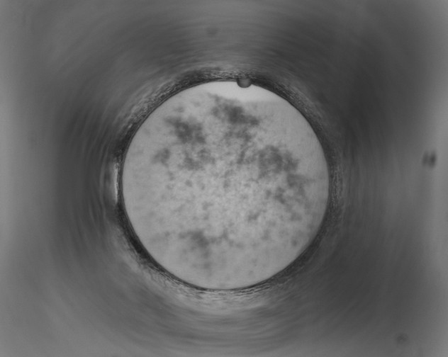 X0000115590022200912081100